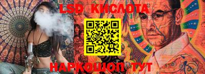 индика Кандалакша
