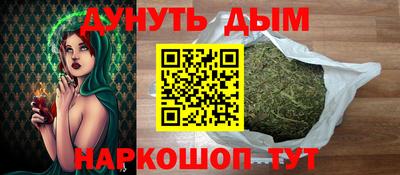 индика Кандалакша