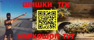 индика Кандалакша