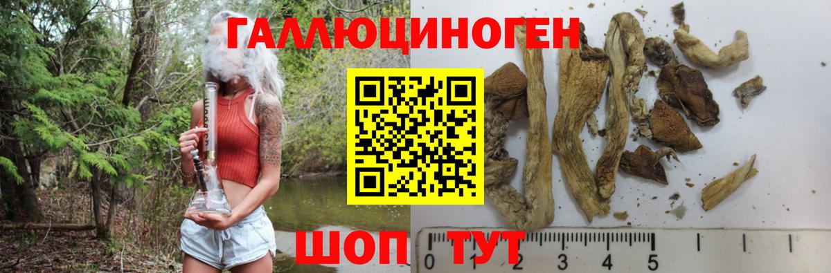 Галлюциногенные грибы Magic Shrooms Кропоткин